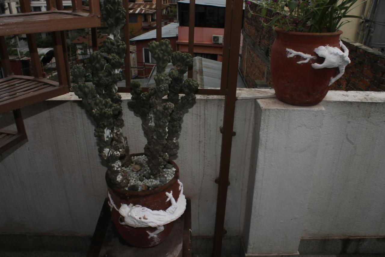 Festoon Hotel Catmandu Exterior foto